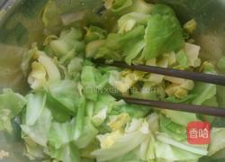 凉拌圆白菜的做法图解3