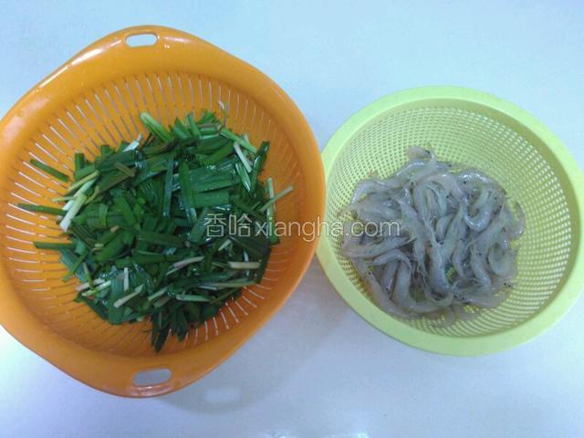 韭菜洗净切段，小米虾洗净