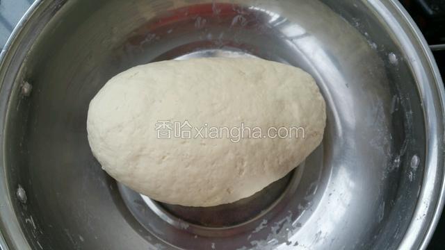 面粉放少许盐加温水和成面团饧15至20分钟。