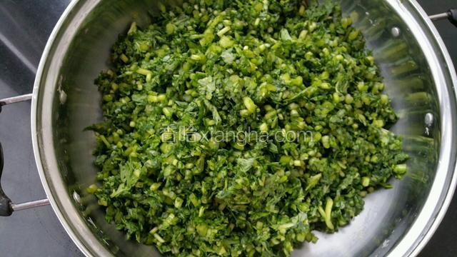 装盆加少许盐拌匀剎水在用手挤去水分。