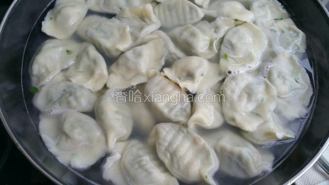 锅内加水大火烧开，放入饺子用笊篱贴着锅边轻轻往前推，至饺子全部飘起并煮开。