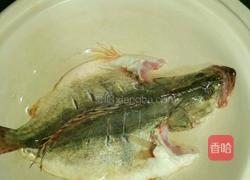 清蒸桂鱼的做法图解1