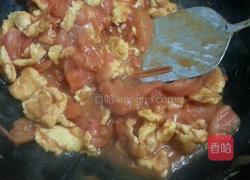 西红柿炒蛋的做法图解9