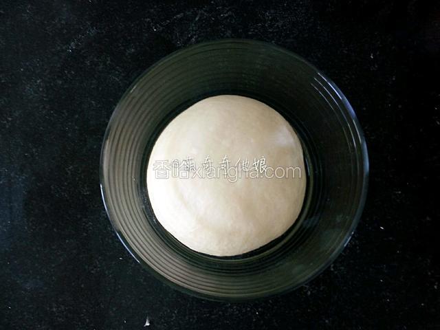 滚圆放容器里在温度为26度环境下进行基础发酵。
