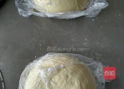 手工大肉丁烧卖的做法图解7