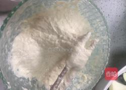 秘制红烧茄子的做法图解4