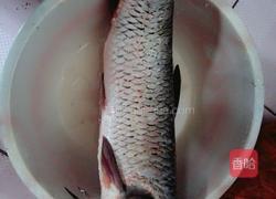 香辣豆腐鱼的做法图解1