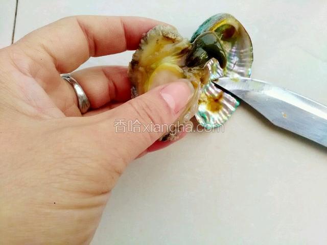 把鲍鱼的内脏挖掉