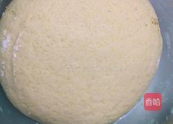两和面馒头的做法图解2