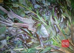 腌香椿的做法图解2