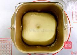 炼奶蔓越莓椰蓉面包的做法图解8