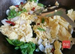 百合炒鸡蛋的做法图解7