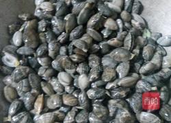 清炒花蛤的做法图解4