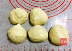 炼奶蔓越莓椰蓉面包的做法图解9