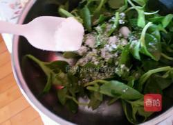 凉拌穿心莲的做法图解2