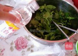 凉拌穿心莲的做法图解4