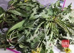 凉拌蒲公英菜的做法图解1