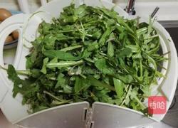 凉拌蒲公英菜的做法图解2