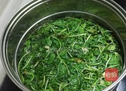 凉拌蒲公英菜的做法图解3