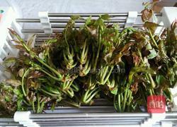 炸香椿芽的做法图解1