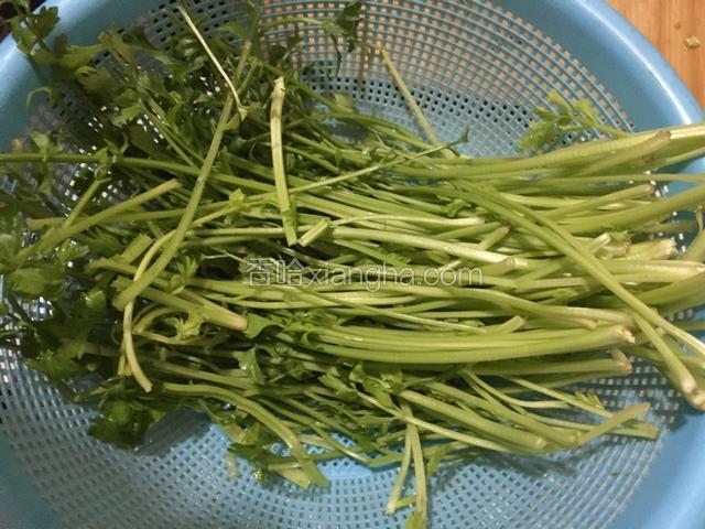 芹菜叶子洗干净、沥干水