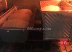 100%中种醇奶吐司的做法图解16