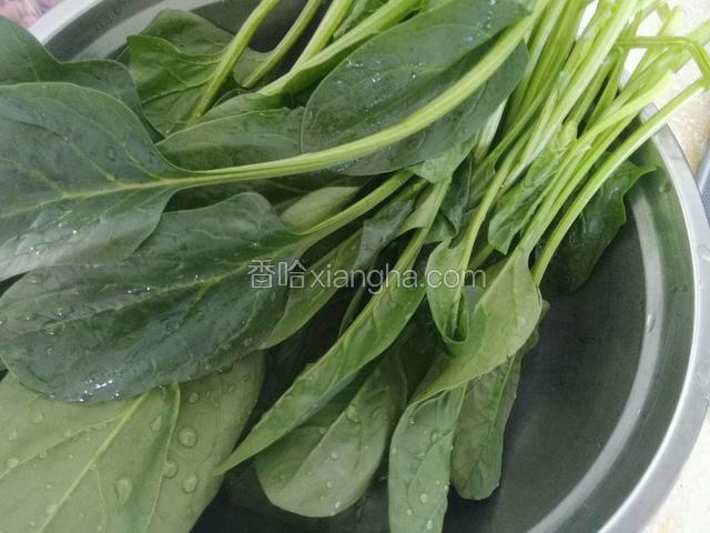 菠菜洗净