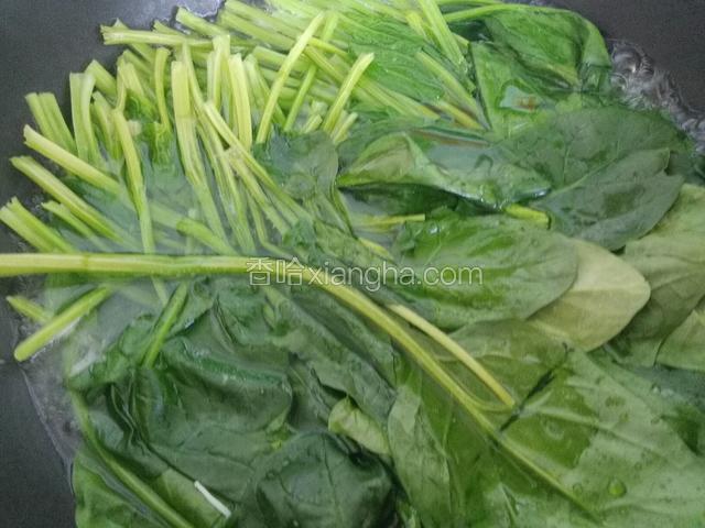 锅中烧开水，下菠菜焯一下。