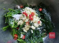 老醋菠菜的做法图解4