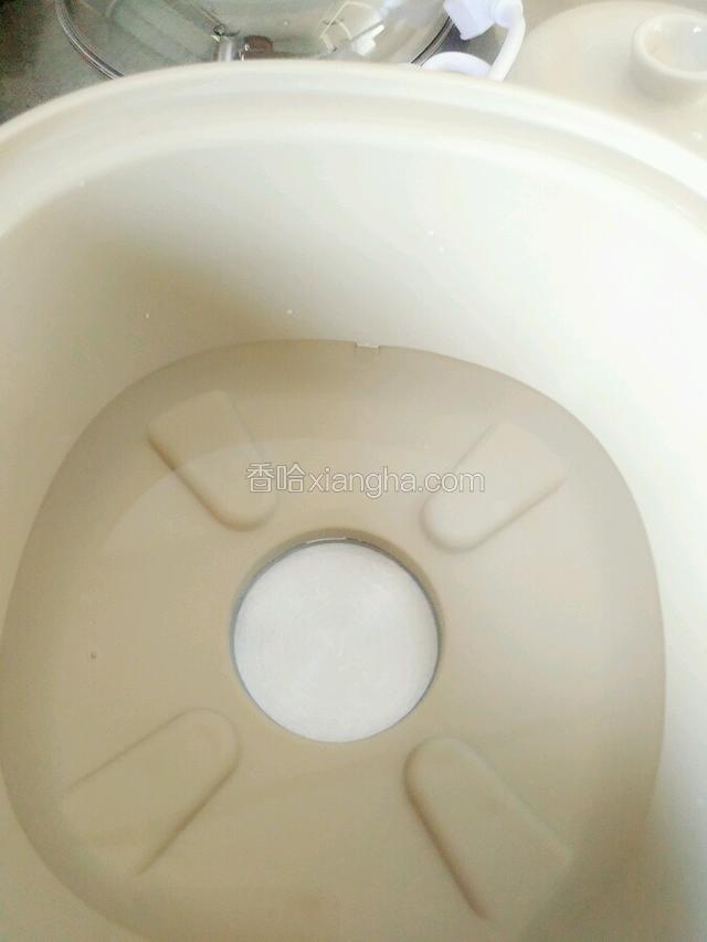 机体内加水至最高水位线。
