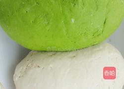 茴香苗猪肉水饺的做法图解3