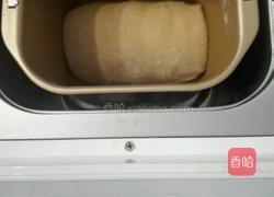 咖啡巧克力豆全麦土司的做法图解4