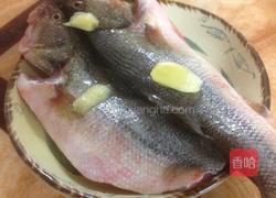 清蒸鲈鱼的做法图解4