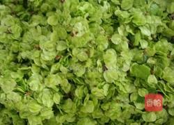 榆钱馒头的做法图解1