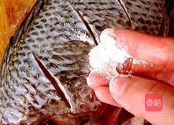 红烧罗非鱼的做法图解2