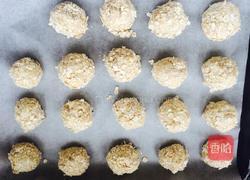 蛋白燕麦椰蓉球的做法图解5