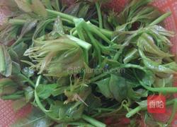 香椿头煎蛋的做法图解1