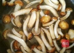 青菜炒滑子蘑的做法图解2