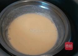 可可冰淇淋的做法图解5