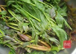 腌香椿的做法图解2