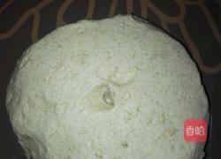 (冷藏汤种)奶香全麦土司的做法图解6