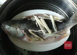 清蒸鲈鱼的做法图解6