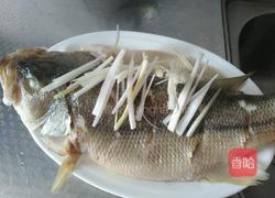 清蒸鲈鱼的做法图解8