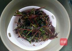 香椿头炒蛋的做法图解1