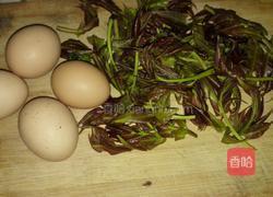 香椿炒蛋的做法图解1