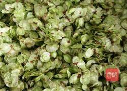 蒸榆钱的做法图解2