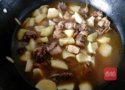 鸡肉炖土豆的做法图解5