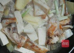 鱼腩焖豆腐的做法图解4
