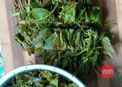 凉拌香椿的做法图解2