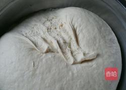 西葫芦肉包子的做法图解3